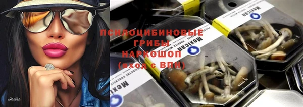 молекула духа Армянск