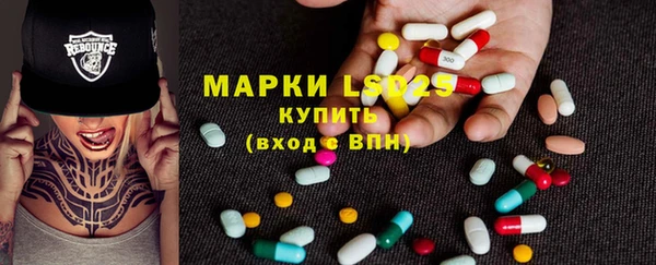 твердый Аркадак