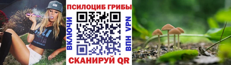 Галлюциногенные грибы ЛСД  Новая Ладога 